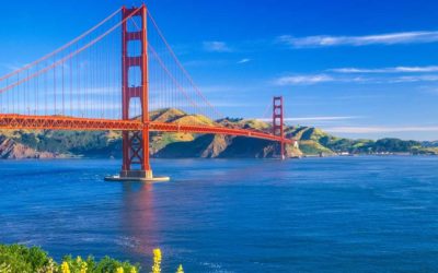 What to do in San Francisco this summer | San Francisco Movers Luigy