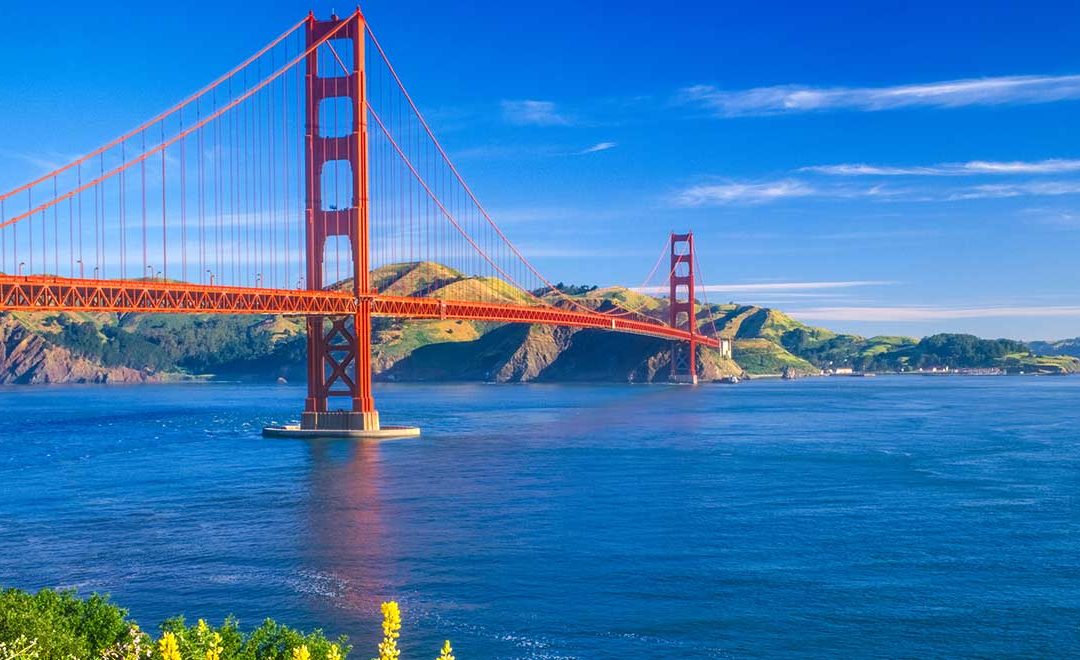 What to do in San Francisco this summer | San Francisco Movers Luigy